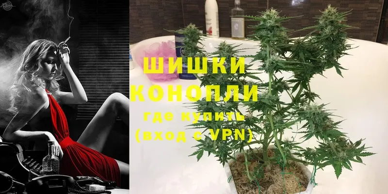 где купить   мега ссылка  МАРИХУАНА SATIVA & INDICA  Фёдоровский 